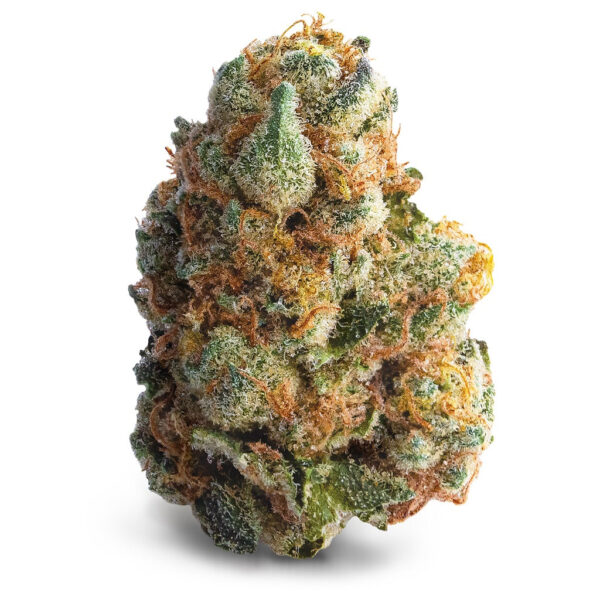 Gmo Cookies — BC Cannabis Home