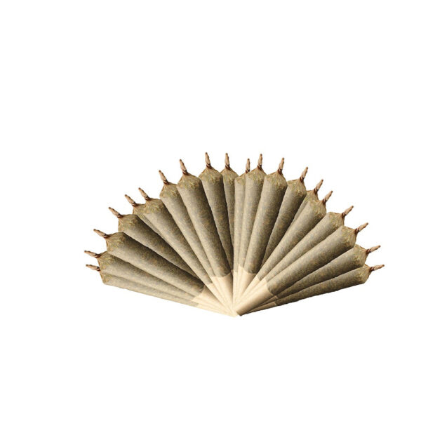 Sativa 420 Pre-Rolls — BC Cannabis Home