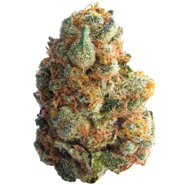 Gmo Cookies — BC Cannabis Home