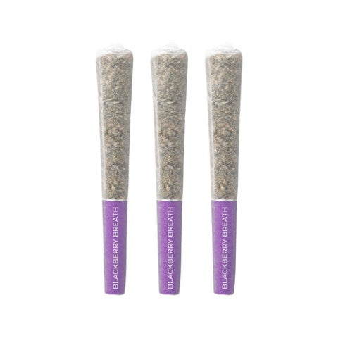 Blackberry Breath Pre-Rolls — BC Cannabis Home