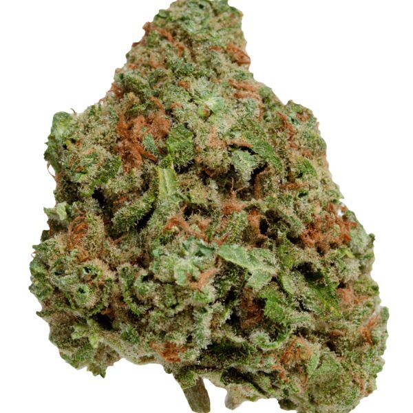 Blueberry Seagal — BC Cannabis Home