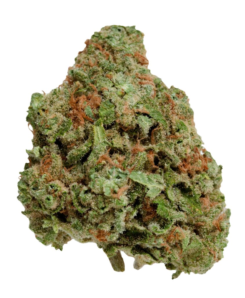 Blueberry Seagal — BC Cannabis Home