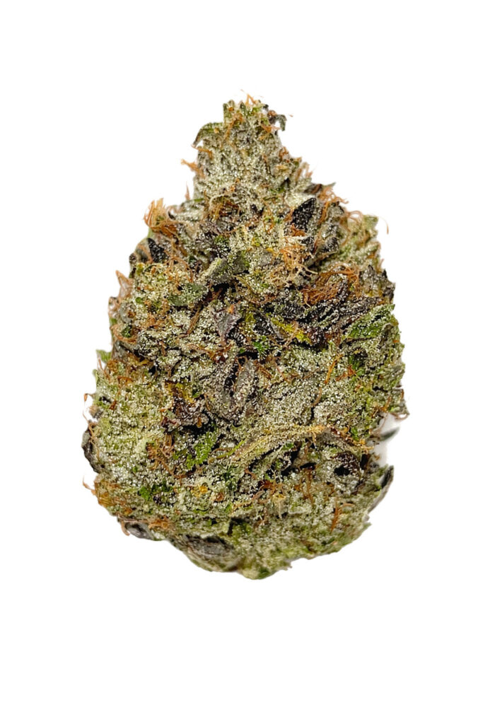 Timmy'S Og Shark — BC Cannabis Home