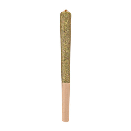 Rocketeer Infused Pre-Roll — BC Cannabis Home