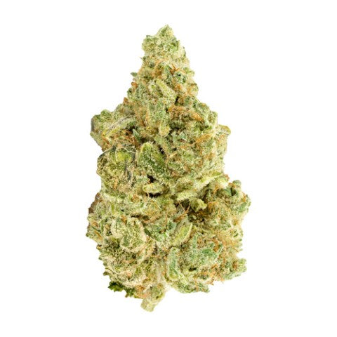 White Widow — BC Cannabis Home