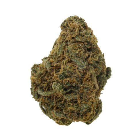 Durban Poison — BC Cannabis Home