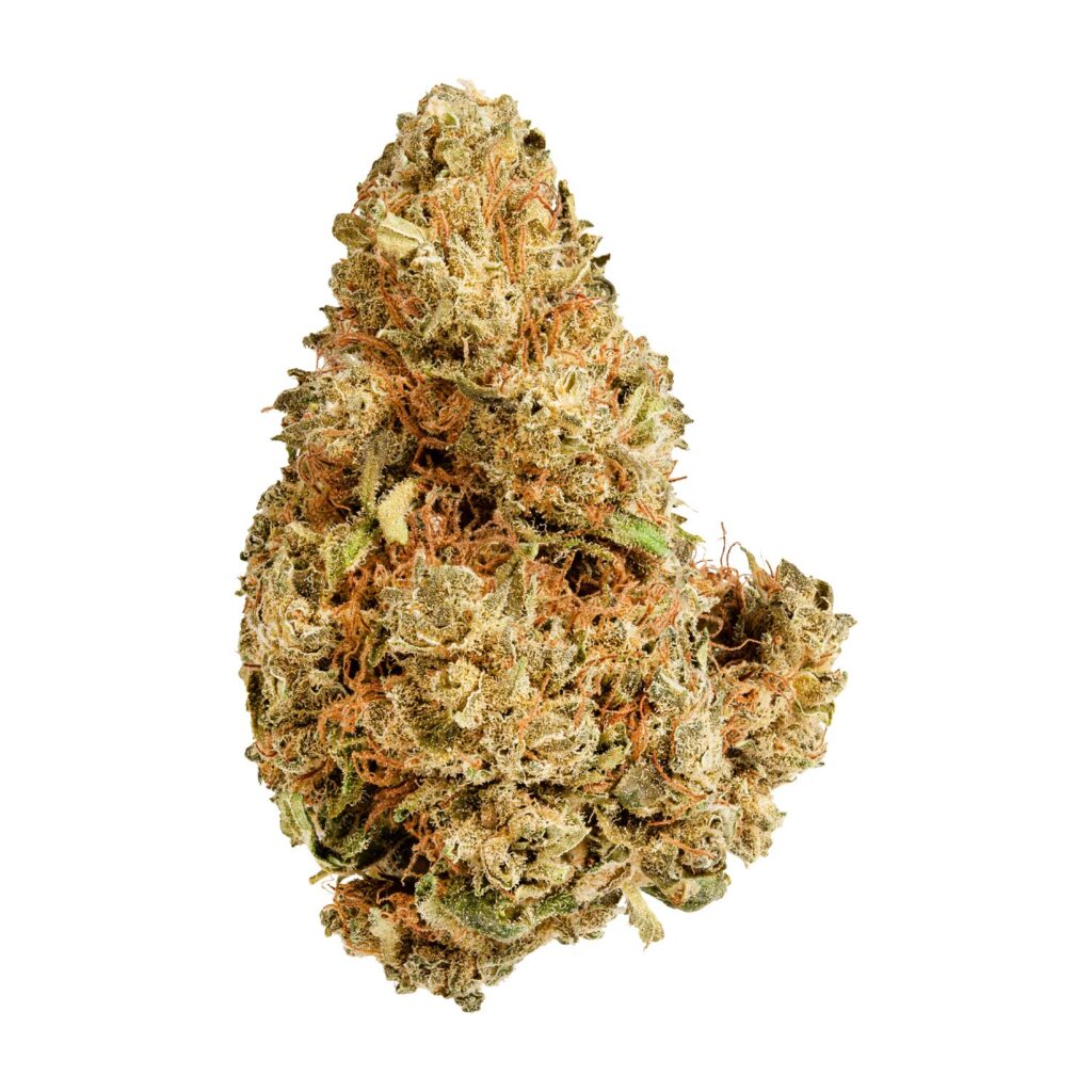 Purple Afghani — BC Cannabis Home