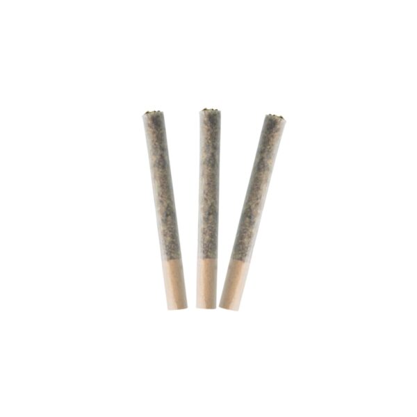 Coastal Fog Pre-Rolls Lto — BC Cannabis Home