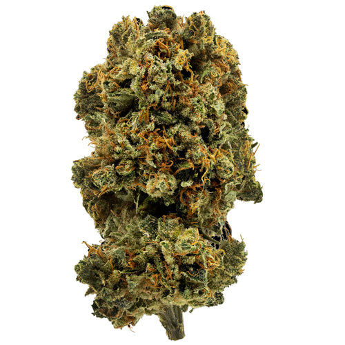 Blue Dream — BC Cannabis Home