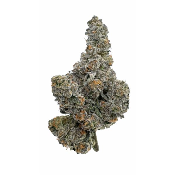 Gastro Pop — BC Cannabis Home