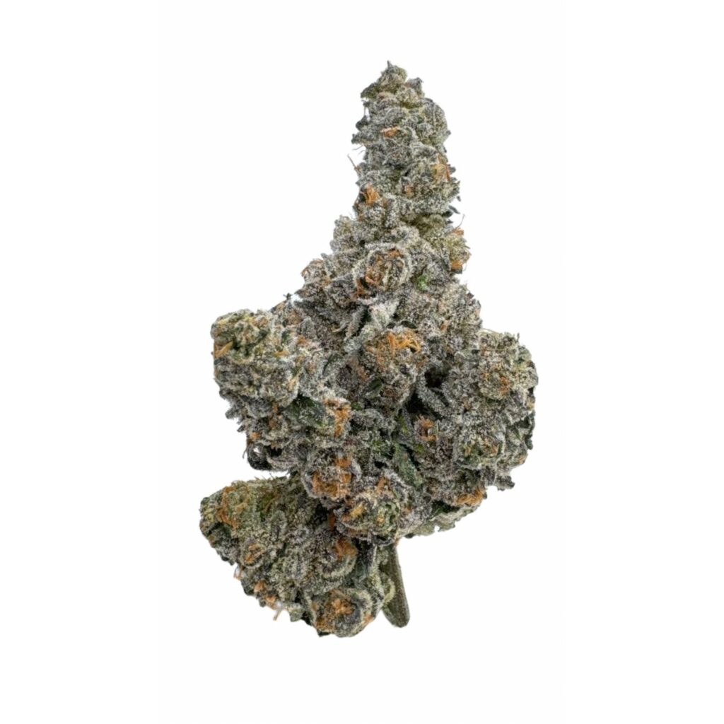 Gastro Pop — BC Cannabis Home
