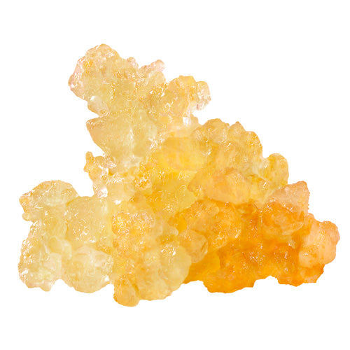 Gorilla Grape Live Resin Caviar — BC Cannabis Home