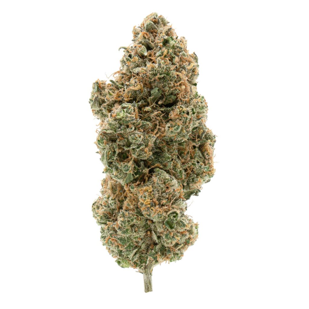 Bc Organic Tangerine Sunrise — BC Cannabis Home