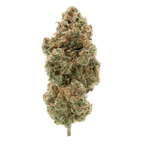 Bc Organic Tangerine Sunrise — BC Cannabis Home