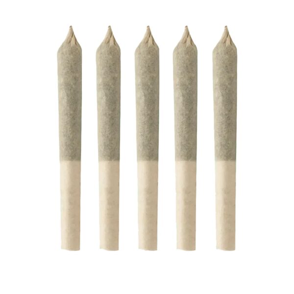 Bc Organic Tangerine Sunrise Pre-Rolls — BC Cannabis Home