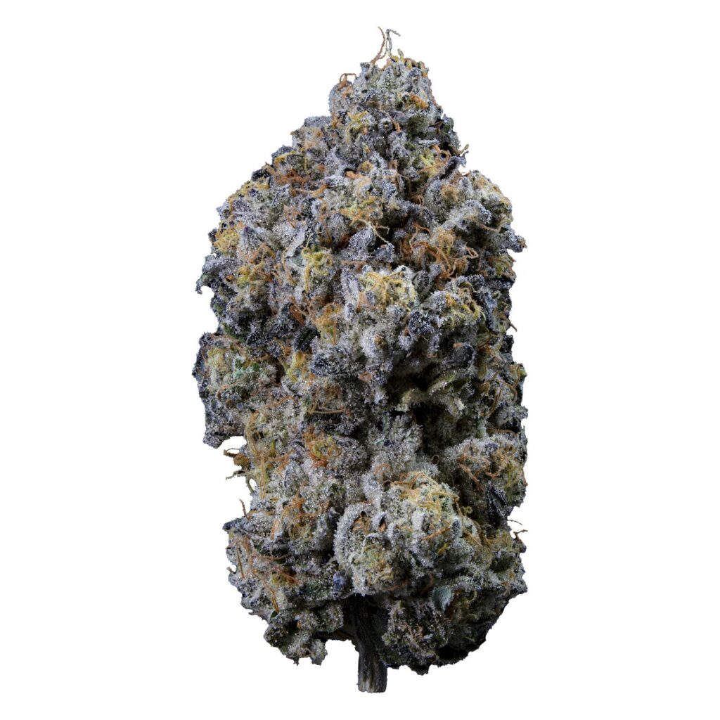 Pine Mentz Premium Flower Lto — BC Cannabis Home