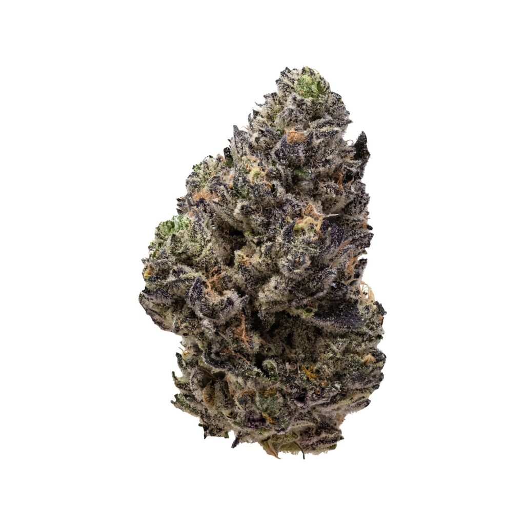 Permanent Chapo — BC Cannabis Home