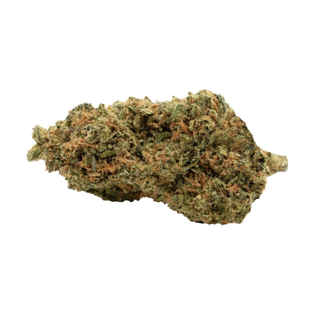 C99 Haze — BC Cannabis Home