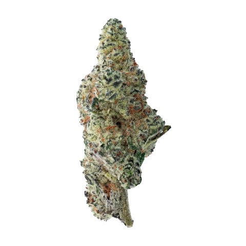 Tropicana Cookies — BC Cannabis Home