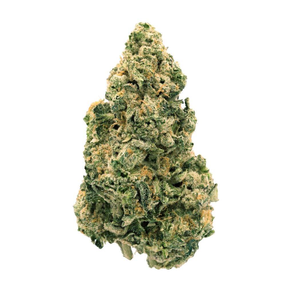 Galactic Jack — BC Cannabis Home