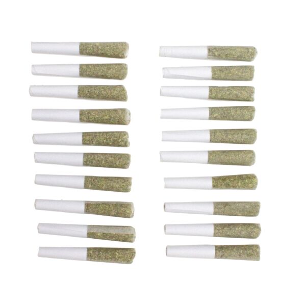 Moroccan Peaches Pre-Rolls — BC Cannabis Home